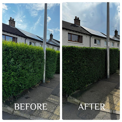 Hedge Trimming