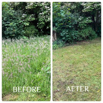 Overgrown Grass Cut