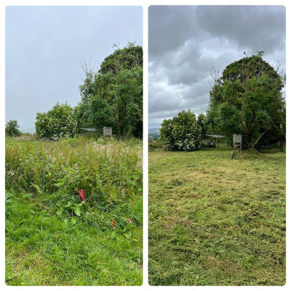 Overgrown Grass Cut