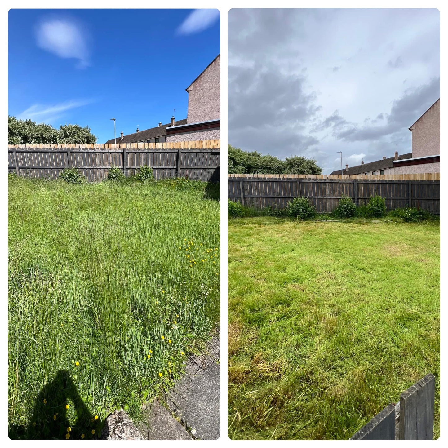 Overgrown Grass Cut