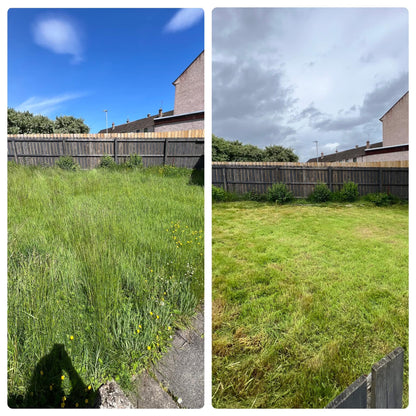 Overgrown Grass Cut