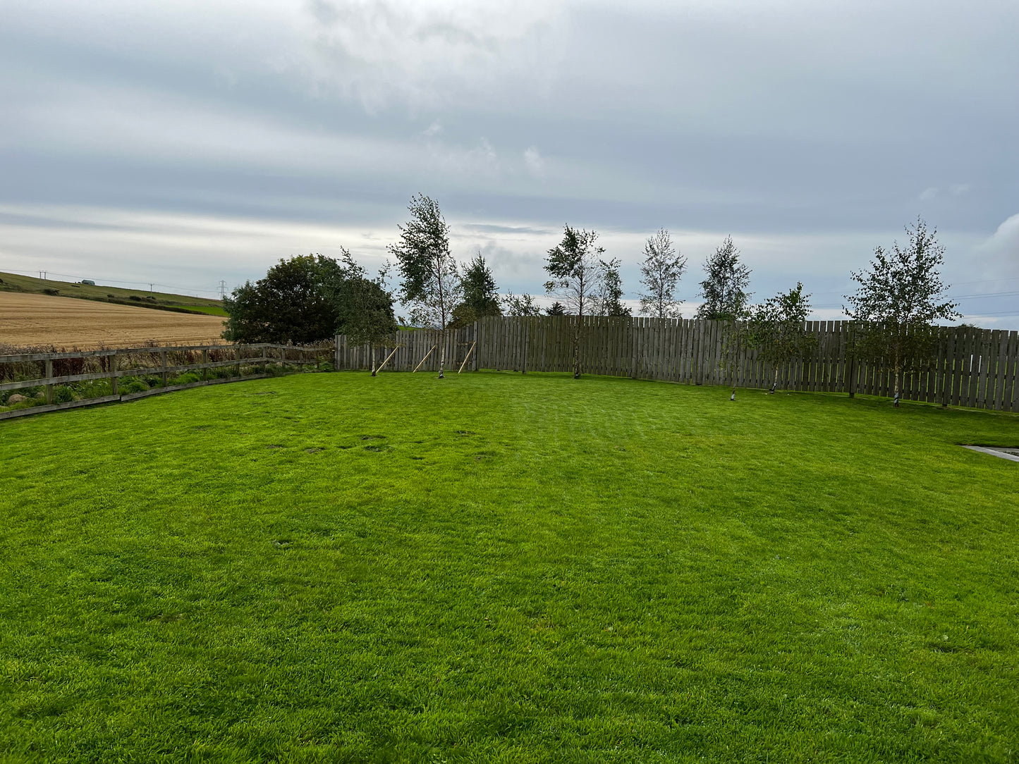 Lawnmowing - Large Garden