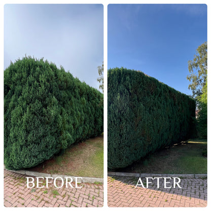 Hedge Trimming