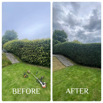 Hedge Trimming