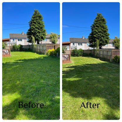 Lawnmowing - Medium Garden